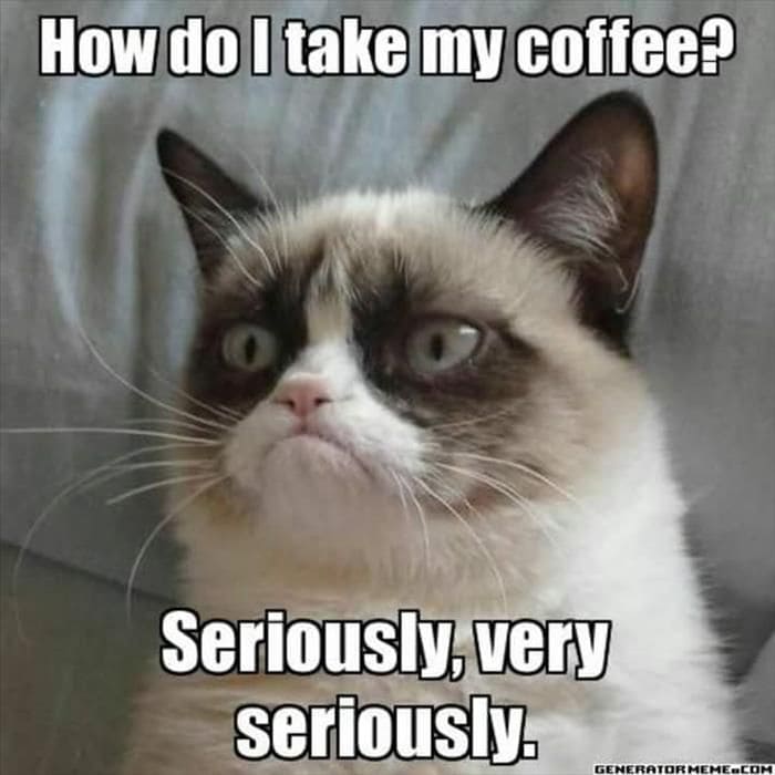 taking coffee seriously meme, funny cat coffee meme, coffee meme, coffee memes, funny coffee memes, funny coffee meme, hilarious coffee meme, need coffee meme, morning coffee meme, coffee time meme, drinking coffee meme, more coffee meme, memes about coffee, hilarious coffee memes, funny memes about coffee, coffee meme images, coffee meme pictures, funny meme about coffee, best coffee memes, meme about coffee, coffee lover meme, coffee lovers meme, joke about coffee, coffee joke, coffee jokes, funny joke about coffee, funny coffee jokes, funny coffee joke, funny coffee picture, funny coffee image, funny pictures about coffee, funny image about coffee, funny picture about coffee