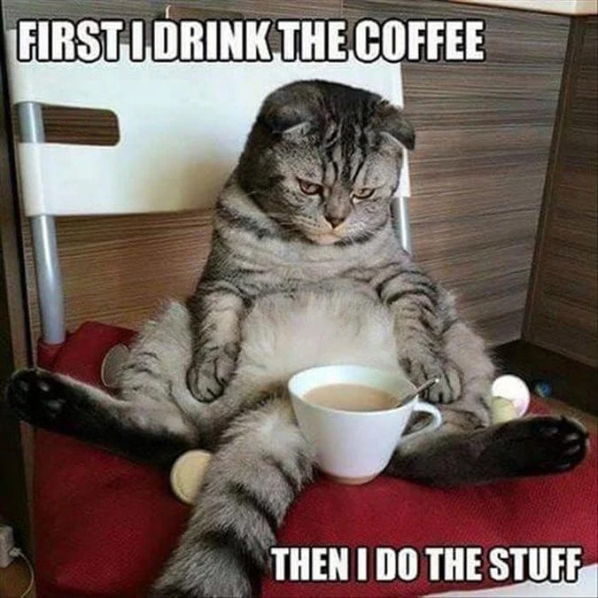 first i drink the coffee meme, funny drinking coffee first meme