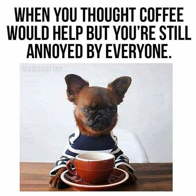 100 (MORE) Funny Coffee Memes To Add A Little Jolt To Your Day