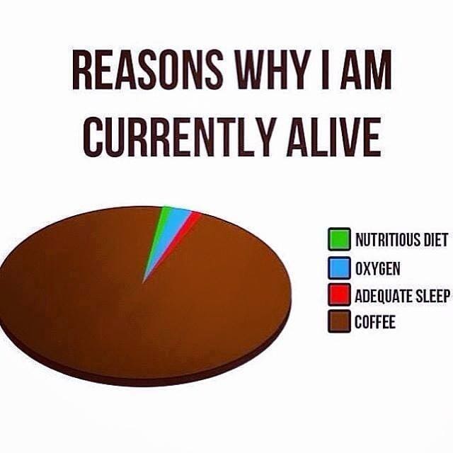funny reasons i am still alive coffee meme, funny coffee pie chart meme, funny coffee pie chart joke