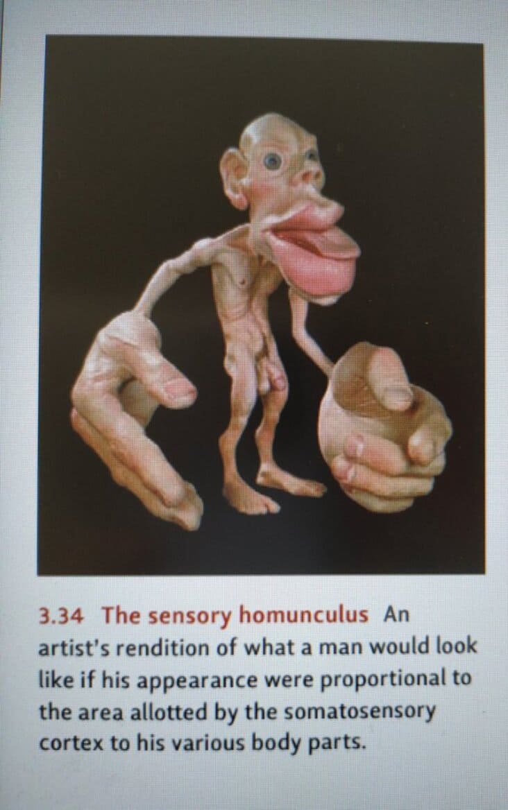 How Did These Weird Science Diagrams Make It Into A Textbook (30 Pics)