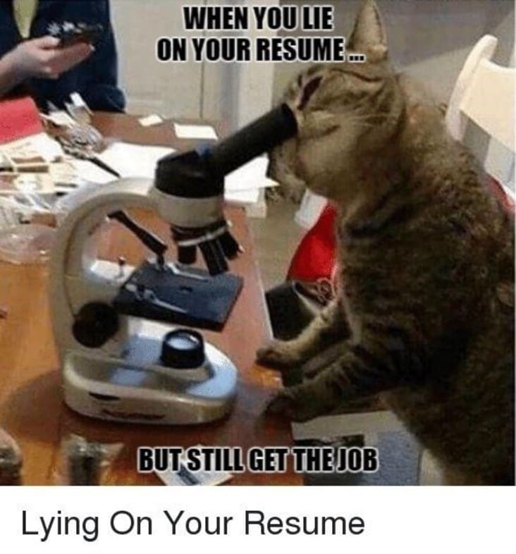 When You Lie On Your Resume, But Still Get The Job (15 Pics)