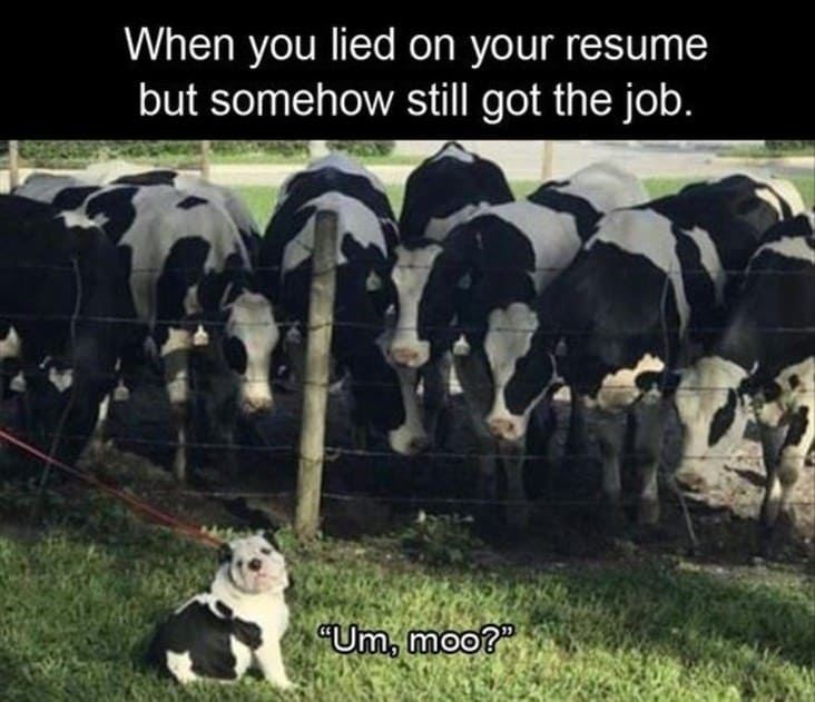 When You Lie On Your Resume, But Still Get The Job (15 Pics)