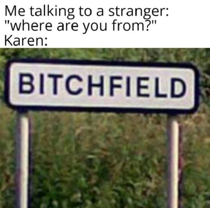 27 Funny Karen Memes I'm Sure Karens Will Want To Speak To ...