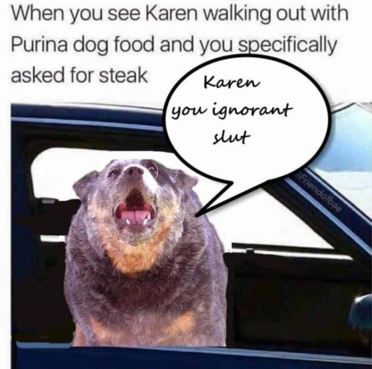 27 Funny Karen Memes I'm Sure Karens Will Want To Speak To ...