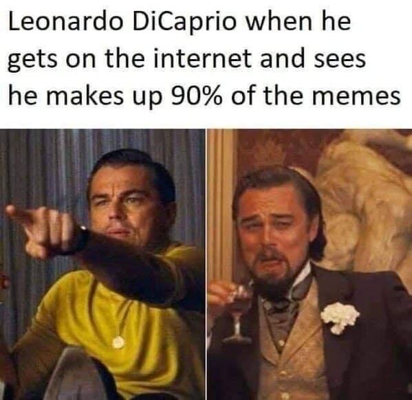 Leonardo DiCaprio Memes In Honor Of His 46th Birthday (25 Memes)